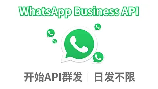 第 10 课 ｜WhatsApp群发软件 ｜WhatsApp官方API接口群发｜开始发送