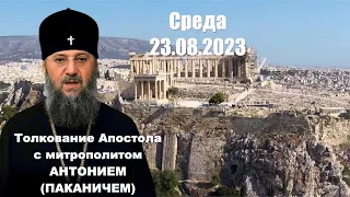 Среда, 23 августа 2023 года. Толкование Апостола с митр. Антонием (Паканичем).