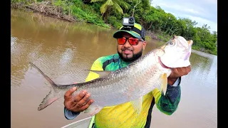 Fishing in Guyana -  Tarpon