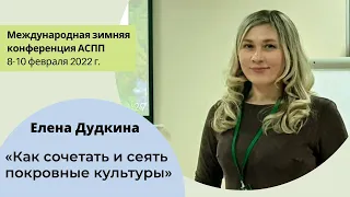 Как сочетать и сеять покровные культуры. Елена Дудкина, "Агро Союз Проект"