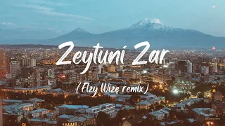 Zeytuni Zar (Elzy Wize remix)