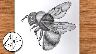 How to Draw a Bee | Realistic Bee Drawing Tutorial