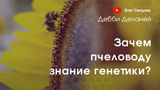 Зачем пчеловоду знание генетики? Дебби Деланей, лекция 2015