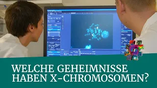 Welche Geheimnisse haben X-Chromosomen? – Berlin – #wonachsuchstdu