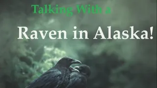 Talking With Ravens