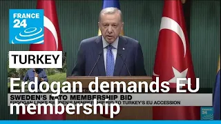 Erdogan links Sweden's NATO bid with Turkey's EU membership • FRANCE 24 English