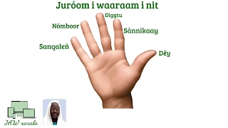 juróom i waaraam i nit