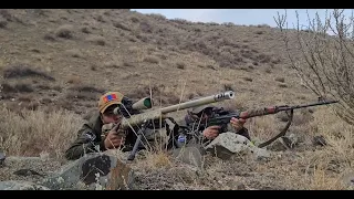 Wolf hunting Mongolia UVS aimag