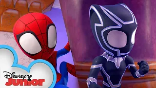 Panther Patience | Marvel's Spidey and his Amazing Friends | @disneyjunior