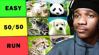 Zoo Animals I Can BEAT In a 1v1 (Tier List)