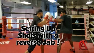 Setting up shots with a reverse jab with defensive options!!