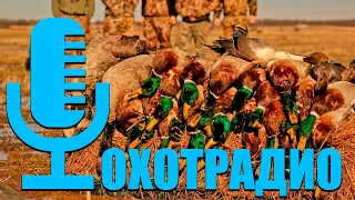 А.Костернов "СТЕНДОВАЯ СТРЕЛЬБА И ОХОТА-ЧТО ОБЩЕГО?"🔴ОхотРадио