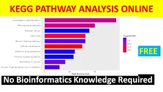 KEGG Pathway Analysis Tutorial for Beginners | Learn, Analyze & Interpret with Real Examples |