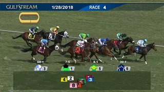 Gulfstream Park Carrera 4  - 28 de Enero 2018