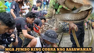 MGA BALAKID SA PAG HULI NG MONSTER KING COBRA #cobraprince #tolcobra #cobraking