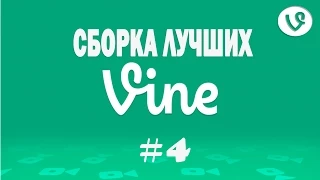 Сборка лучших Vine #4