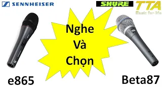 Sennheiser E865 hay Shure Beta87A