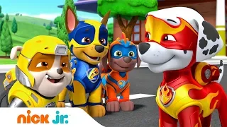 Любимые герои на большом экране | Nick Jr. Россия