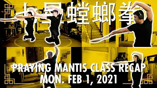 7 Star Praying Mantis Online Training [Class Recap] Feb 1, 2021