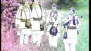 Ilija i Marko Begic - Derventski Zvuci - KUD Seljacka Buna - (Video 1984)