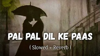 Pal Pal Dil Ke Pass_{Slowed + Reverb} | Old Song | Kishore Kumar |