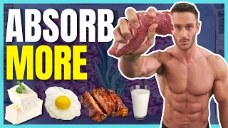 10 Highest Quality Protein Sources for Fat Loss & Building Muscle (most absorbable)