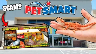 What is GOOD for Bearded Dragons at PetSmart?