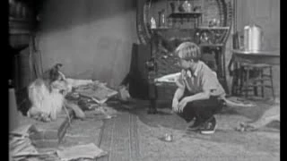 Lassie - Episode 1 - "Inheritance" - Part 2 (Originally broadcast 09/12/1954)