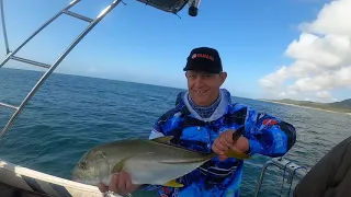 FISH FISH AND MORE FISH...Go Fish with Friends - St  Lucia Episode 2