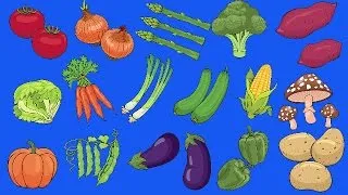 Learn Vegetables Vocabulary | Talking Flashcards