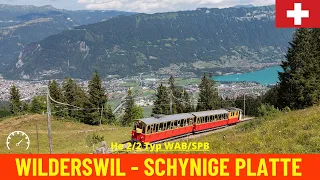 Cab Ride Wilderswil - Schynige Platte (Schynige Platte Railway, Switzerland) train driver's view 4K