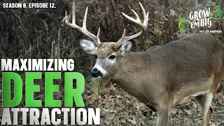 Maximizing Deer Attraction