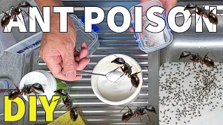 Do it yourself Borax Ant Killer - how to make Ant Poison and Ant Bait Stations