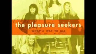 The Pleasure Seekers - Never Thought You'd Leave Me