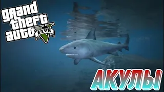 Мифы GTA 5 (выпуск 5: "Акулы")