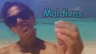 MALDIVES | Sun Island Resort & Spa  Территория |at the hotel