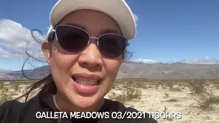 Metal Sculptures in Anza Borrego