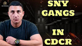 Prison: SNY Gangs in CDCR 2-5ers and Northern Riders #shorts  #shortsvideo #prisonguard #inmates