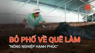 BỎ PHỐ VỀ QUÊ LÀM “NÔNG NGHIỆP HẠNH PHÚC”  | VTC9