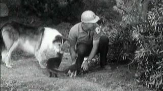 Lassie - Episode #369 - "It's an Ill Wind" - Season 11, Ep. 17  - 01/03/1965