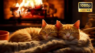 Relax with Purring Cat and Crackling Fireplace 🔥 ASMR Relaxing Sound for Deep Sleep, Stress Relief