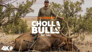 Cholla Elk Bulls Hunt | Part 3 - The Grand Finale Don't Miss it