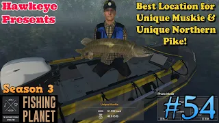 Fishing Planet | #54 - S3 | Best Location for Unique Muskie & Unique Northern Pike!