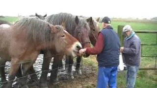 Gerrit en Dora Dusomos, deel 1 van 2