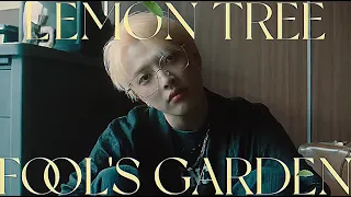 ❛ ❛lemon tree — fools garden | hongjoong cover.🍋[ türkçe çeviri ]