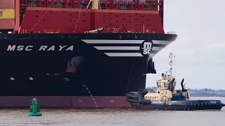 MSC RAYA - Ultra large 24,116teu containership - Shipspotting Port of Felixstowe 27/2/24