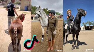 The Best HORSE TikTok Compilation 2022 #22