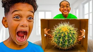 WHAT'S IN THE BOX CHALLENGE WITH THE PRINCE FAMILY!!