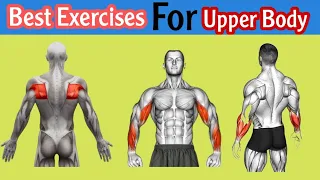 Best & Strongest Upper Body Exercises You Can At Home ( NO Equipment )