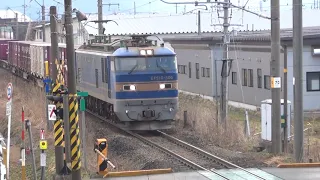 EF510青釜が牽引する奥羽本線のコンテナ貨物列車＠大館駅付近